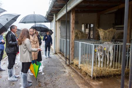 POSESTVO BOGATA foto David Štulc Zornik
